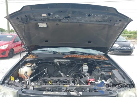 2011 Ford Escape Xlt z USA, uszkodzony, nr VIN 1FMCU9D72BKB56864